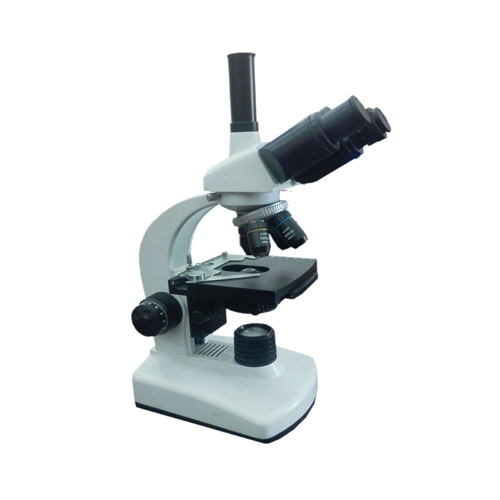 Microscope 6